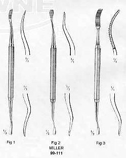 Bone File